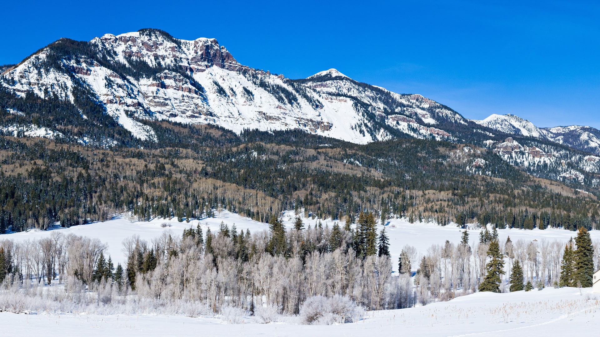 snow capped mountains in background in pagosa springs.
